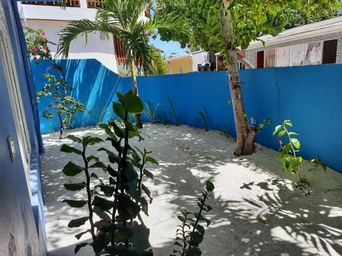 Royal Beach Dhigurah ディグラ エクステリア 写真